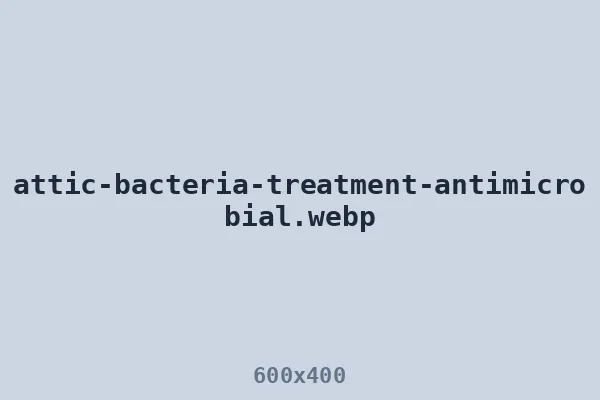 Antimicrobial treatment applied during attic bacteria cleanup