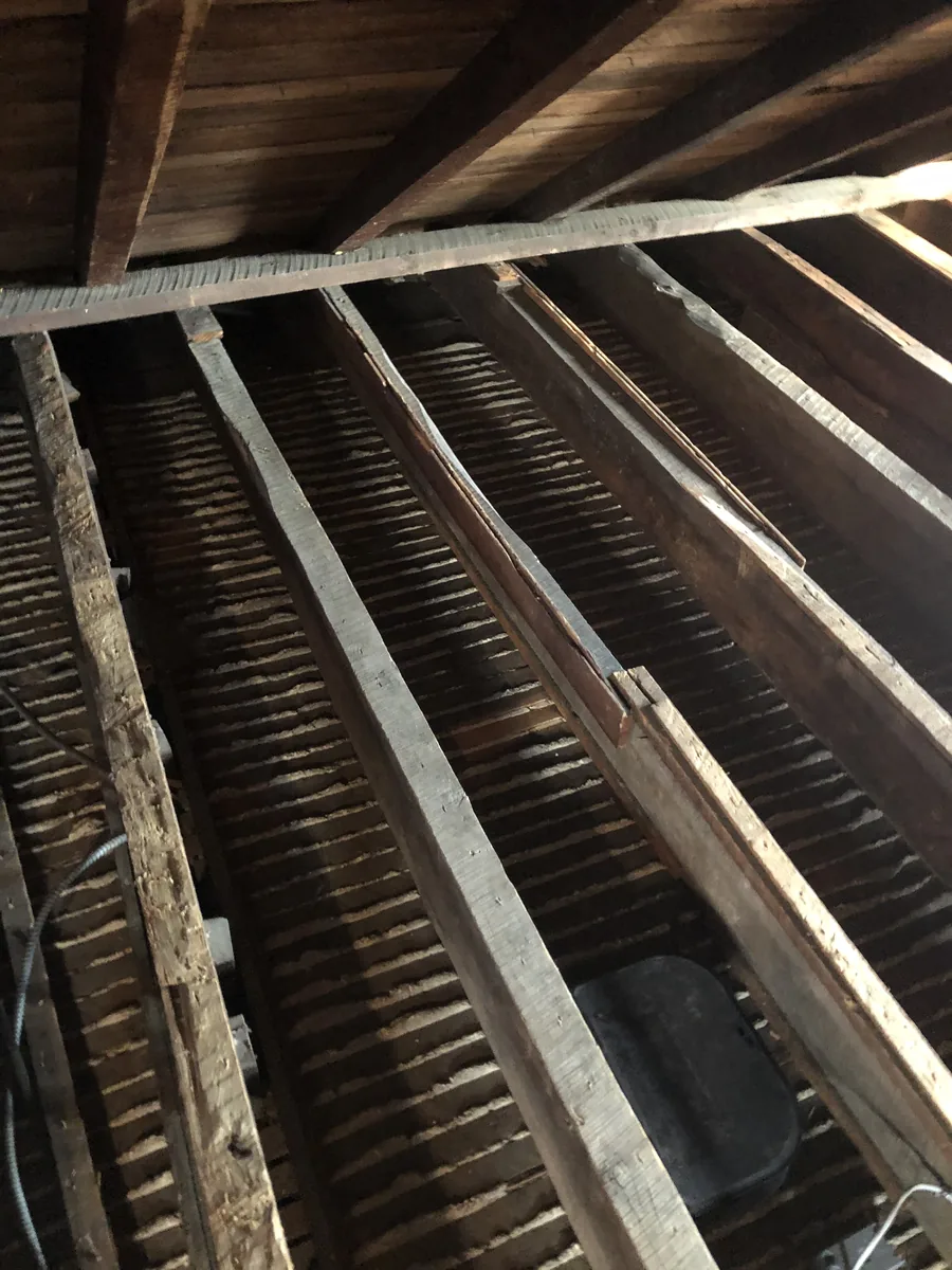 Attic lath and plaster cleaned and decontaminated
