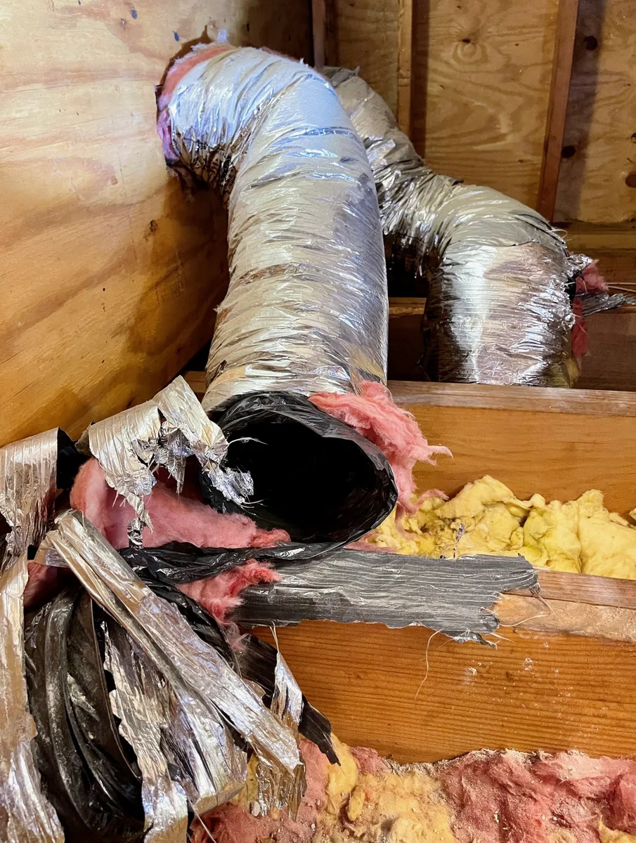 Attic ductwork that has been ripped apart by raccoons