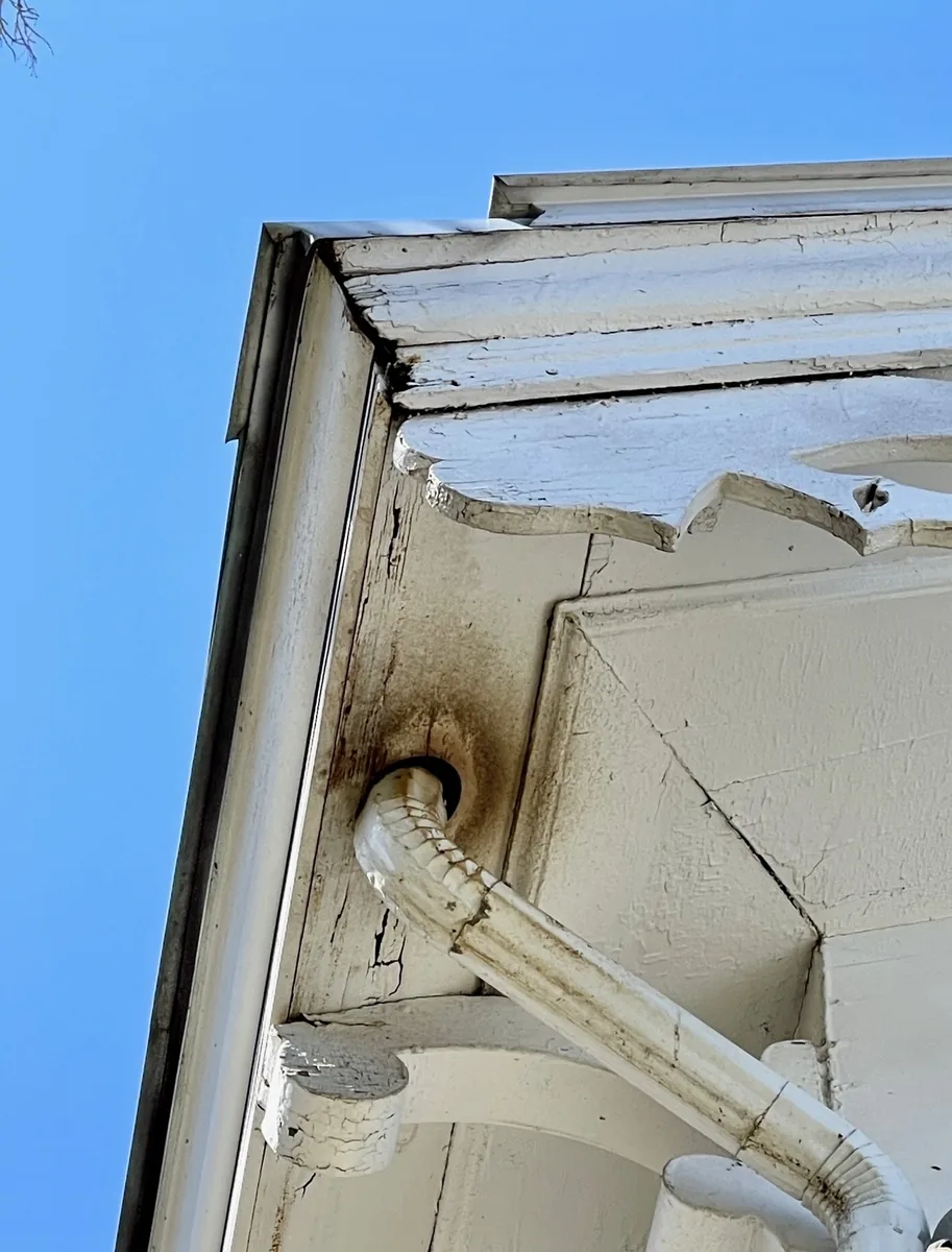 Brown grease staining left by bats at gutter downspout entry hole in soffit