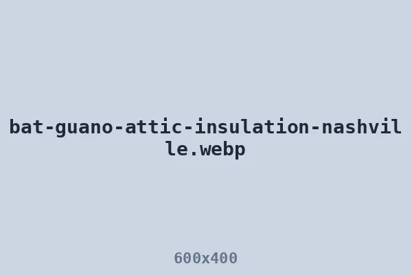 Bat guano in the attic — what bat droppings look like on insulation