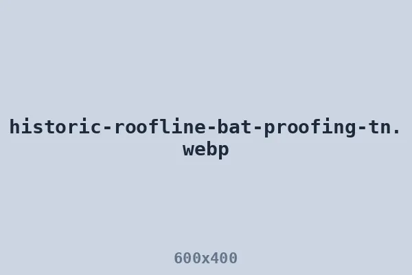 Bat proofing on a historic Middle Tennessee roofline