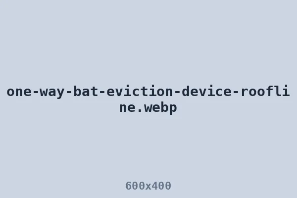 One-way bat eviction device installed at the roofline