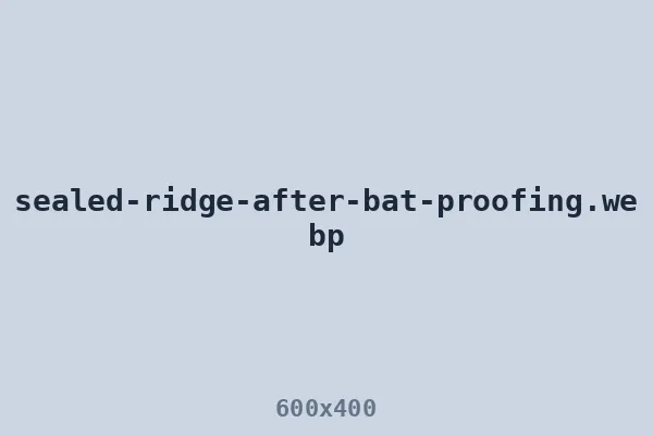 Ridge line sealed after whole-house bat proofing