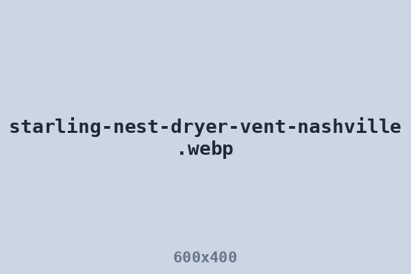 Bird nest removal — starling nest packed inside a Nashville dryer vent