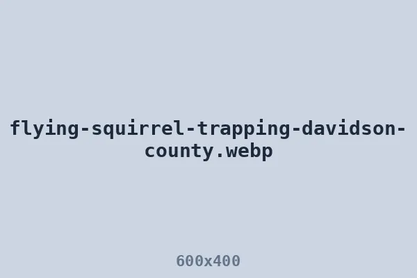 Flying squirrel trapping in Davidson County
