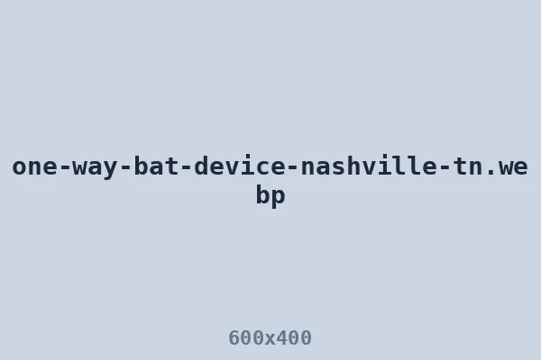 One-way bat device on a Nashville roofline