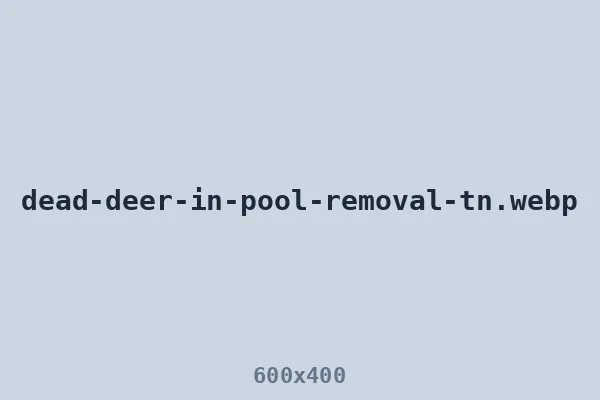 Dead deer in pool removal in Middle Tennessee