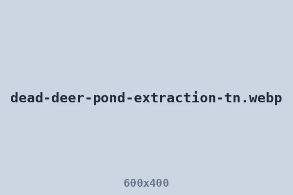 Dead deer extraction from a backyard pond after EHD season