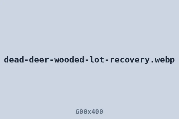 Deer recovery along a wooded lot line
