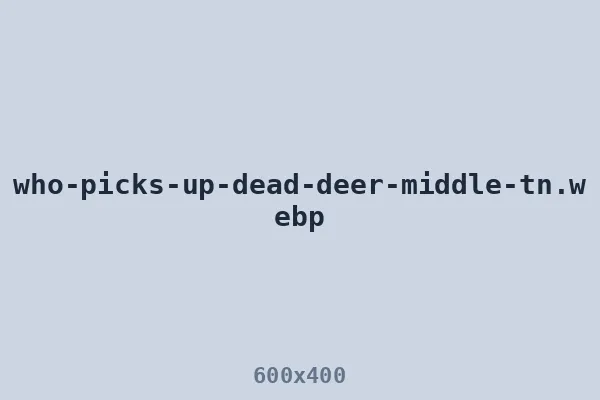 Who picks up a dead deer in Middle Tennessee