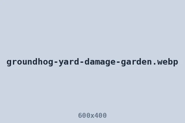 Groundhog control — garden and yard damage from an active burrow