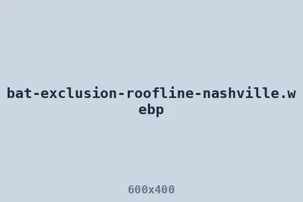 Bat exclusion along a Nashville roofline