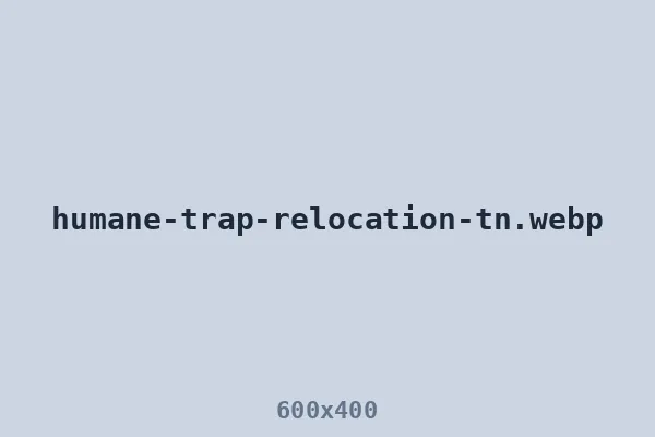 Humane trap and relocation