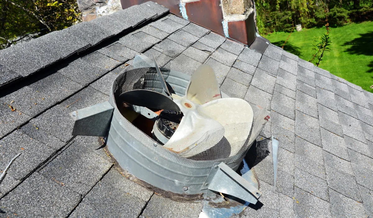 Roof vent cover torn open by a raccoon to enter an attic