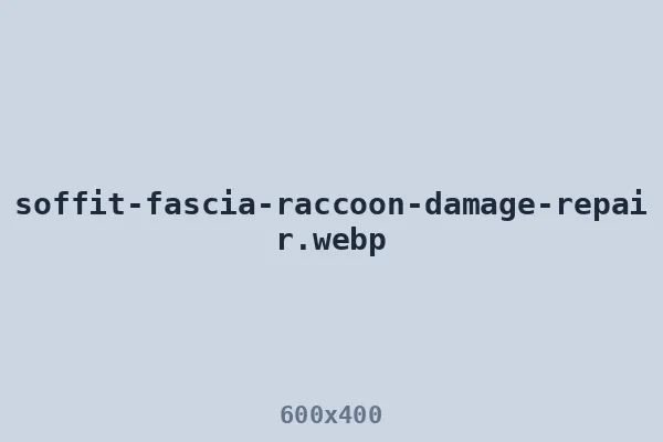 Raccoon damage repair — soffit and fascia rebuilt