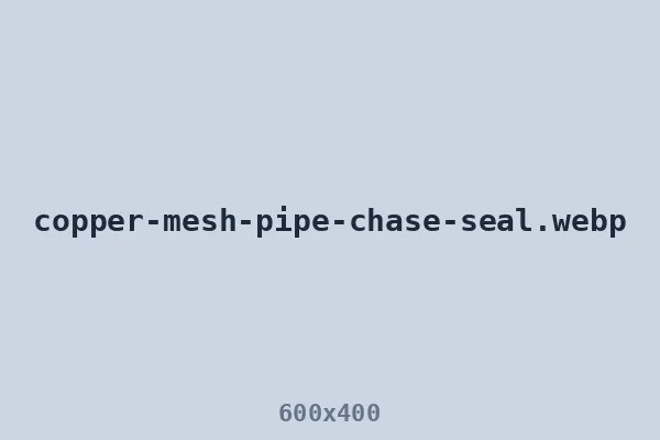 Pipe chase packed with copper mesh during rodent-proofing