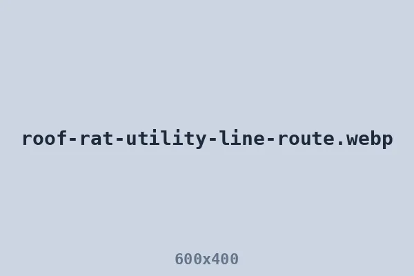 Utility line route roof rats use to reach a roofline