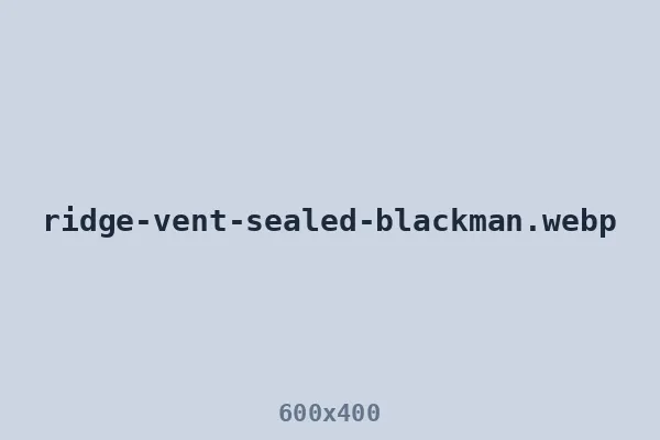 Ridge vent sealed in the Blackman area