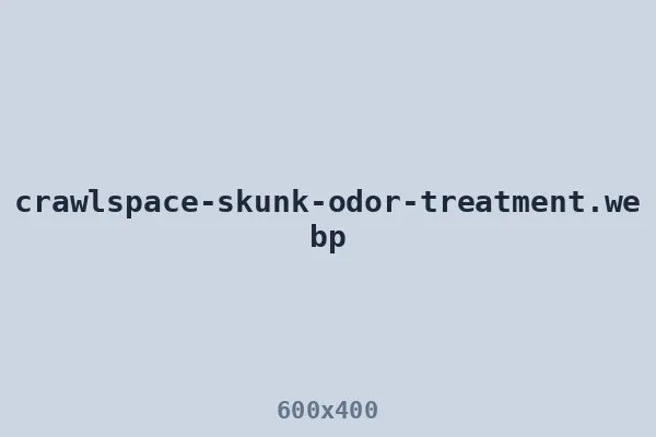 Crawl space odor treatment after a skunk den