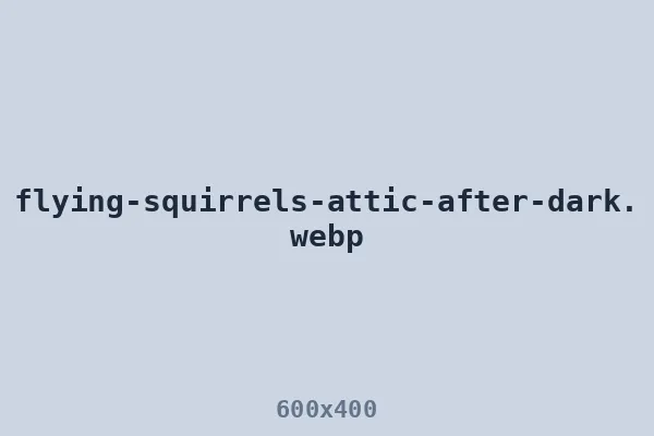Southern flying squirrels active in an attic after dark