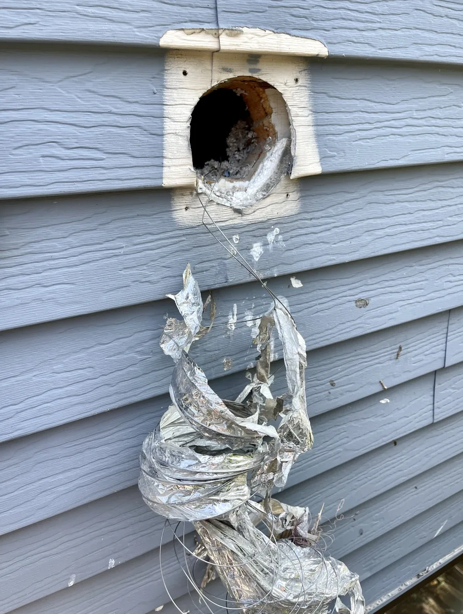 Dryer vent ducts destroyed from birds nesting inside