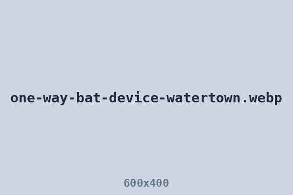 One-way bat device installed near Watertown
